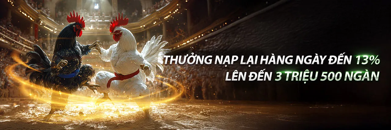 Hình ảnh Điều khoản dịch vụ cm88a